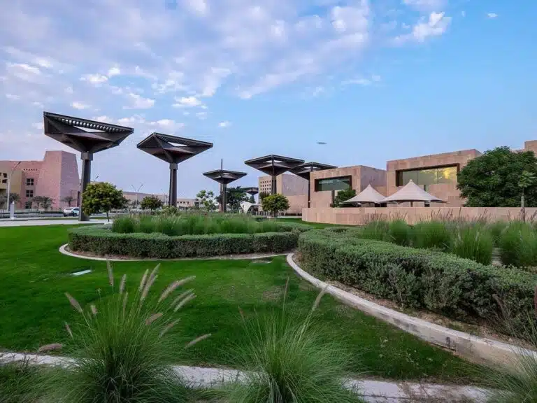 Torba Farmers Market Returns