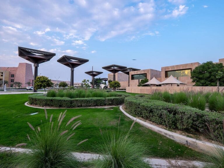 Torba Farmers Market Returns