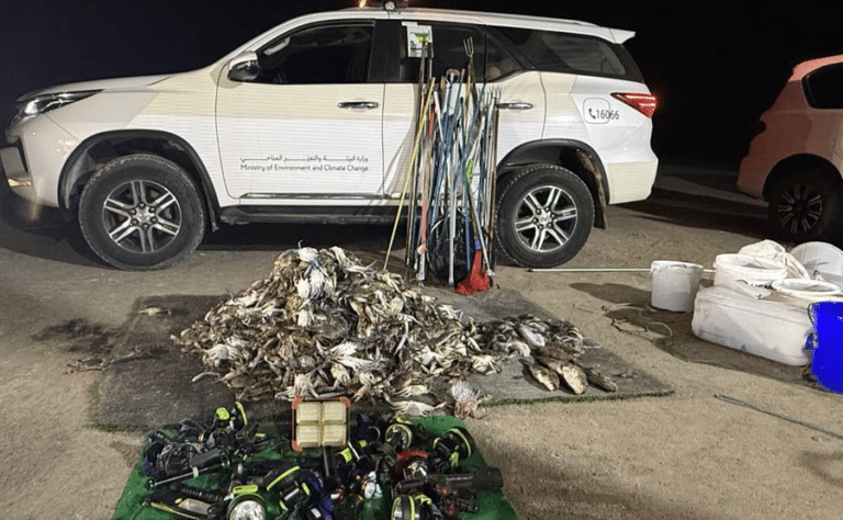 Illegal Fishing Arrests in Al Thakhira Reserve 2025 in Qatar: What Happened, Laws & What to Know